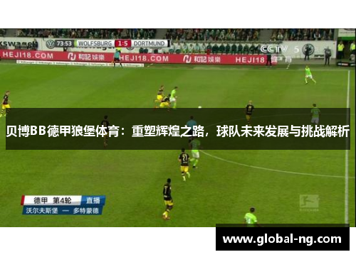 贝博BB德甲狼堡体育：重塑辉煌之路，球队未来发展与挑战解析