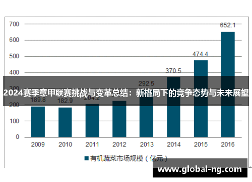 2024赛季意甲联赛挑战与变革总结：新格局下的竞争态势与未来展望