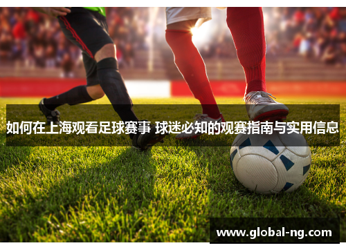 如何在上海观看足球赛事 球迷必知的观赛指南与实用信息